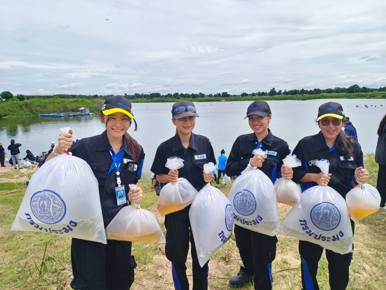 Environmental activity 1